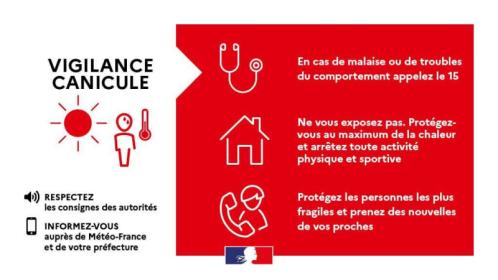 canicule 