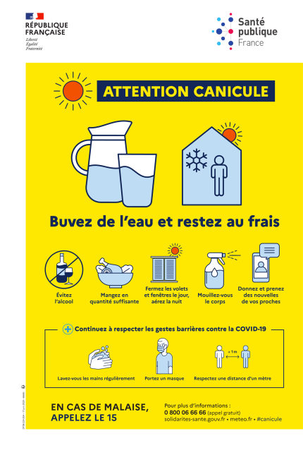 CANICULE