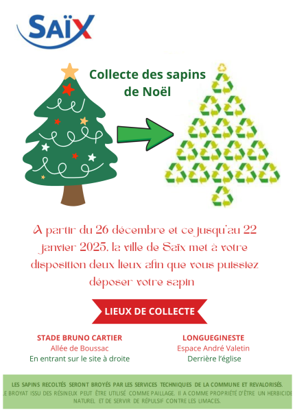 sapins