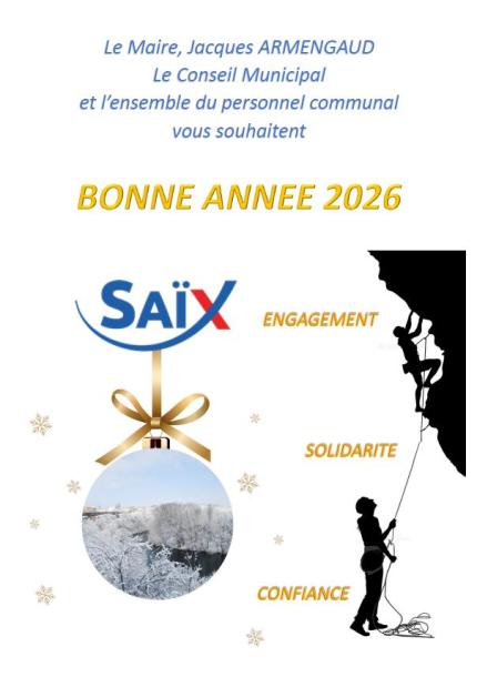Bonne année 